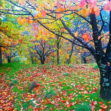 La Albarea By #Cherrygredos El Arenal  Zewnętrze zdjęcie