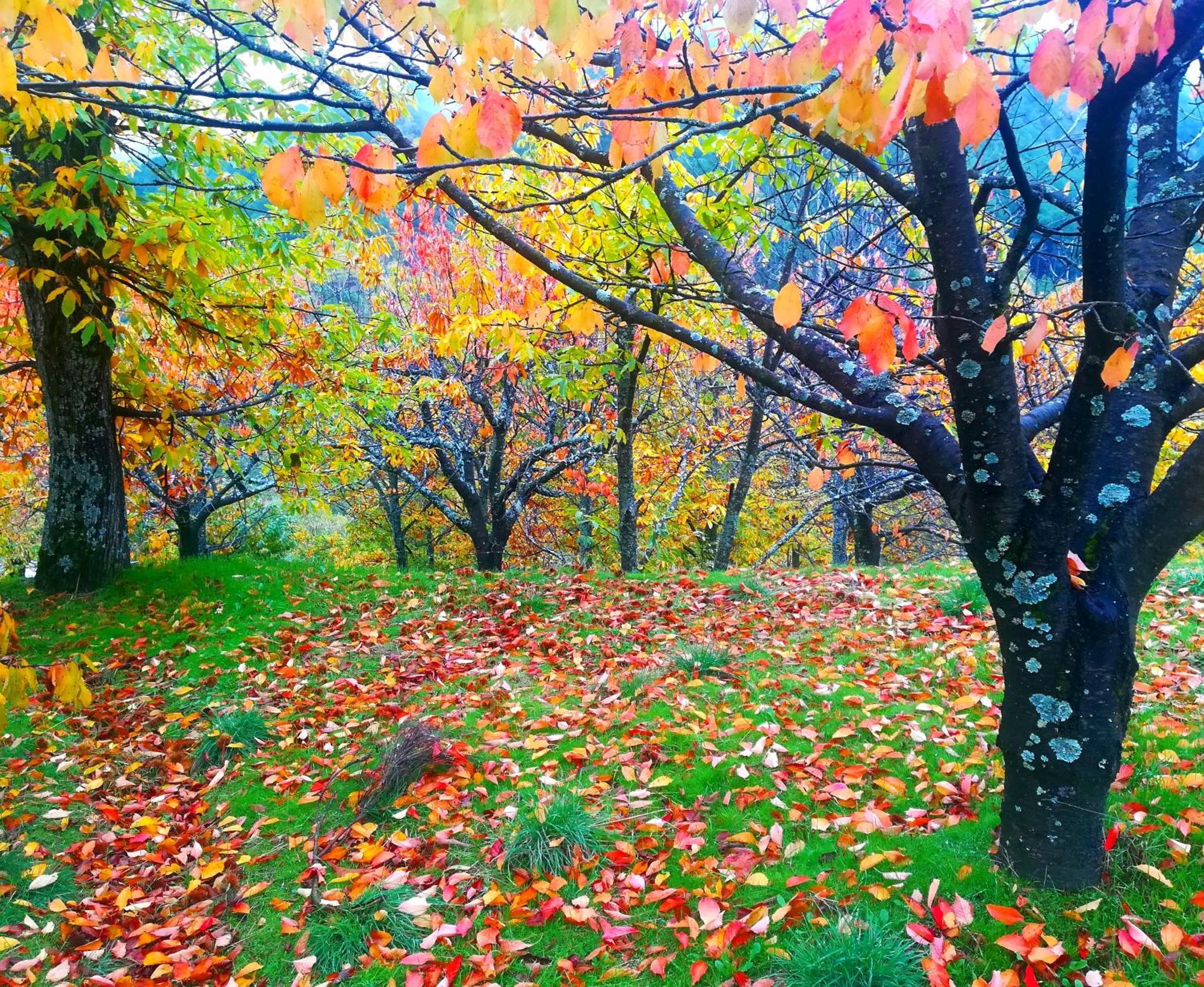 La Albarea By #Cherrygredos El Arenal  Zewnętrze zdjęcie