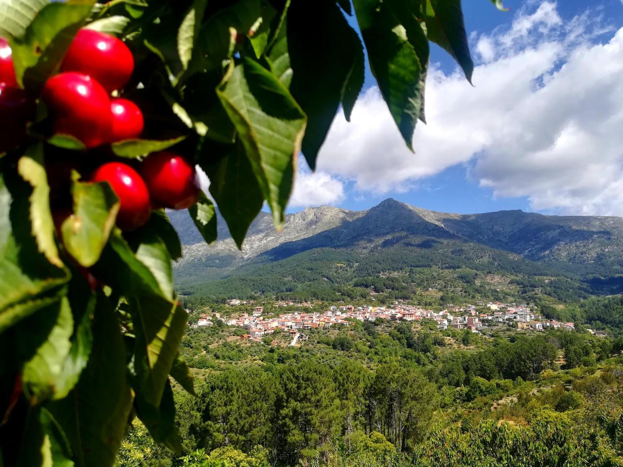 La Albarea By #Cherrygredos El Arenal  Zewnętrze zdjęcie