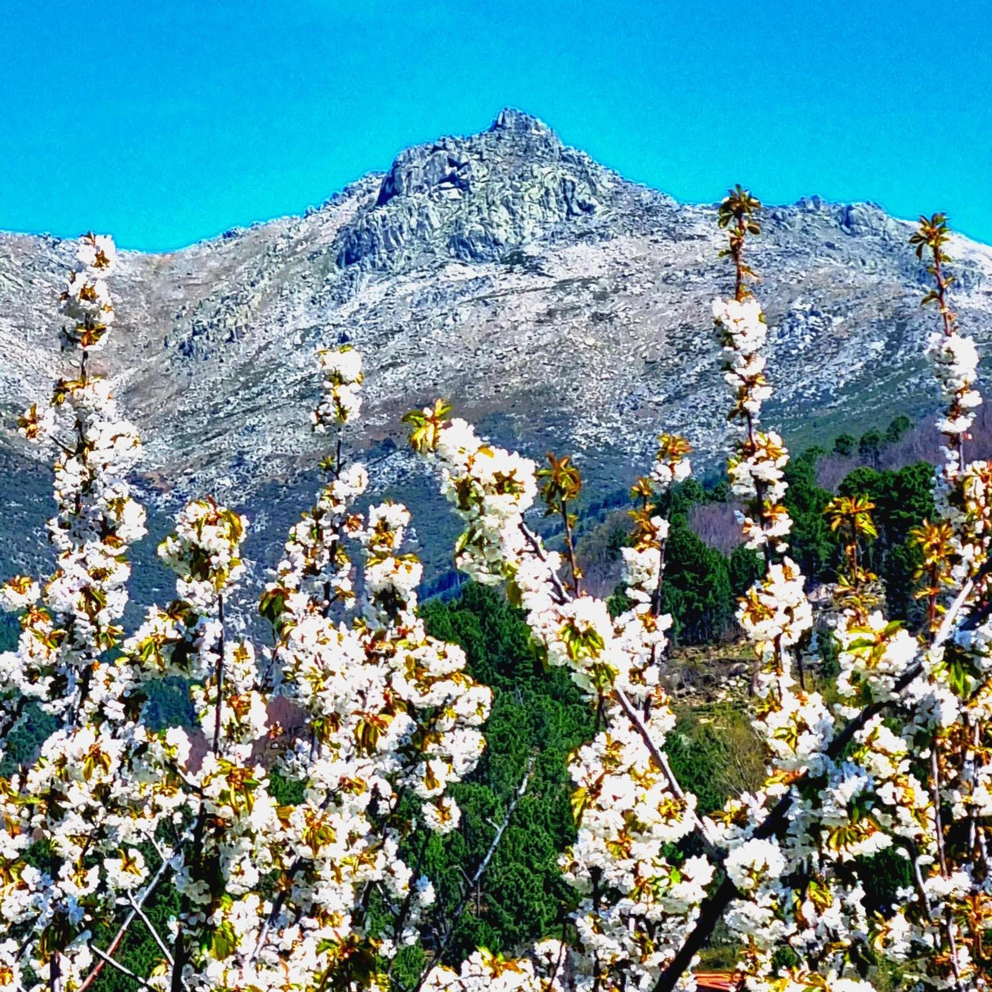 La Albarea By #Cherrygredos El Arenal  Zewnętrze zdjęcie