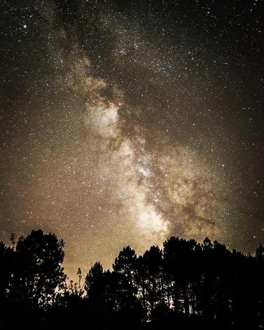 La Albarea By #Cherrygredos El Arenal  Zewnętrze zdjęcie